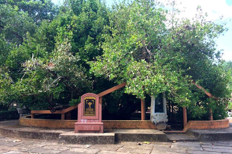 Đình Phú Tự